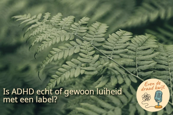 Is ADHD echt of gewoon luiheid met een label?