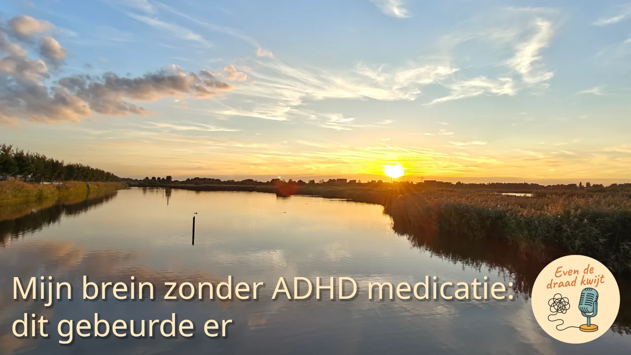 Mijn brein zonder ADHD medicatie: dit gebeurde er