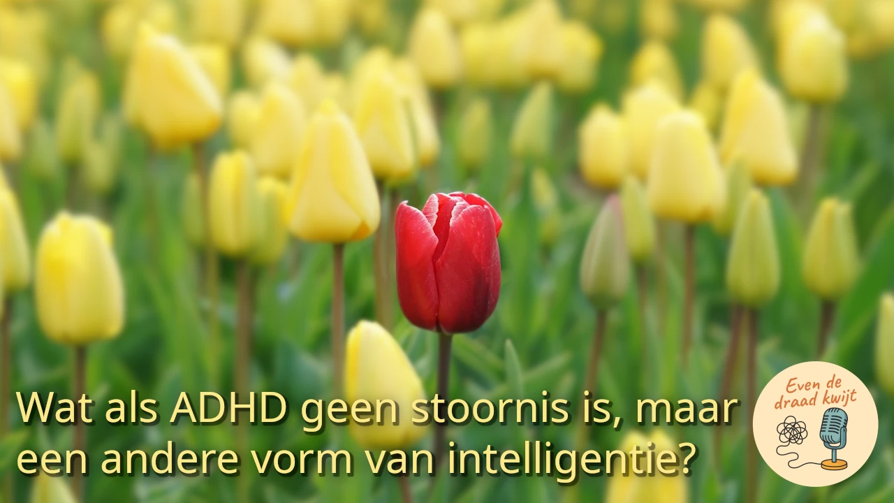 Wat als ADHD geen stoornis is, maar een andere vorm van intelligentie?